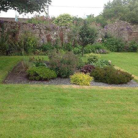 Clochard Bed & Breakfast Galway Extérieur photo